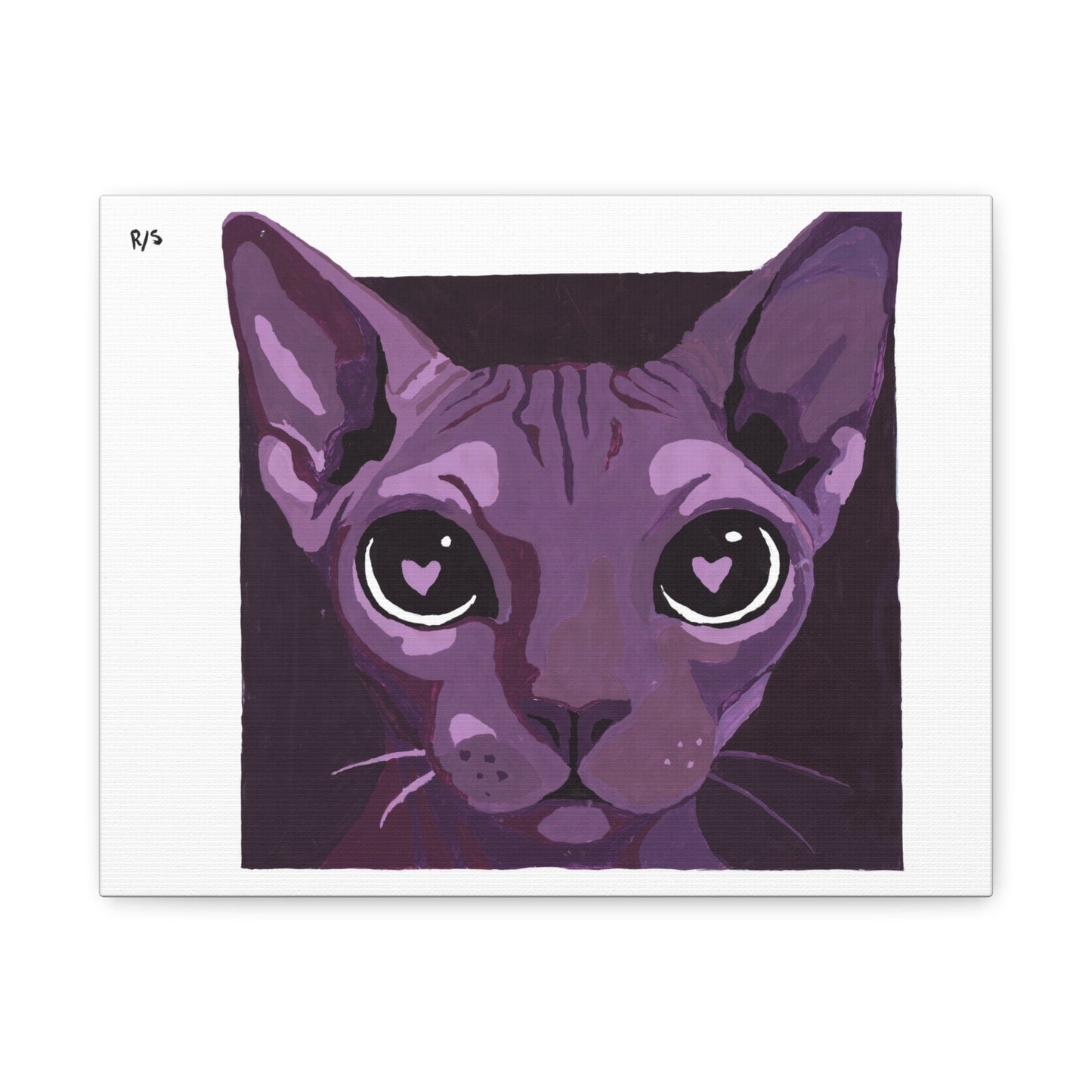 Gatonamorao