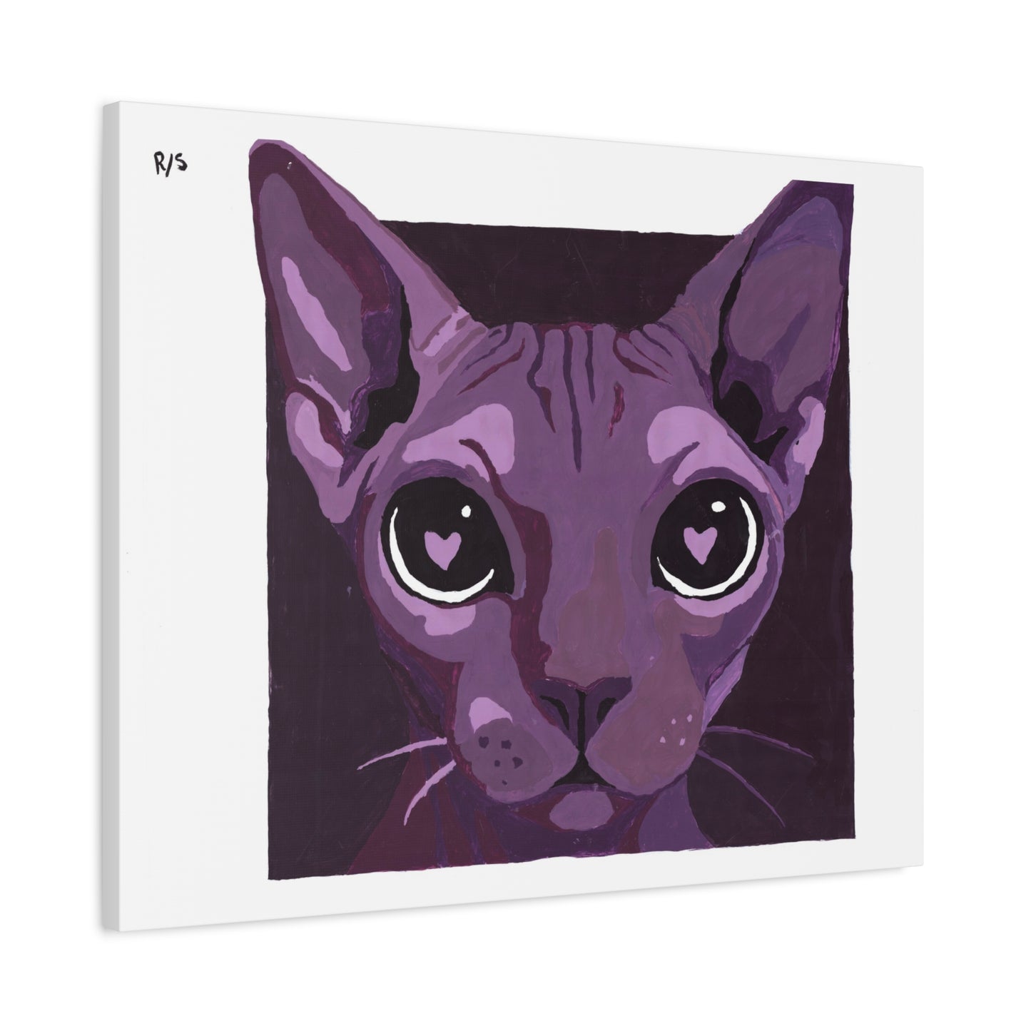Gatonamorao