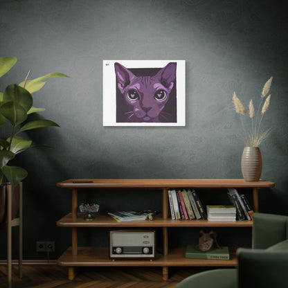 Gatonamorao