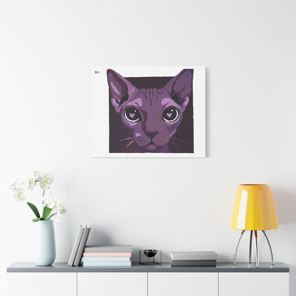 Gatonamorao