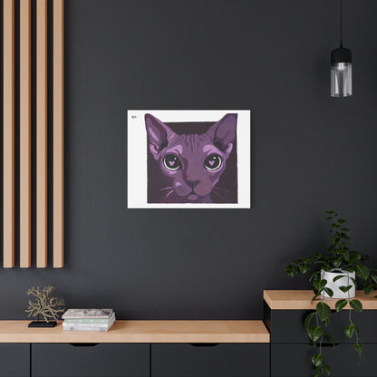 Gatonamorao